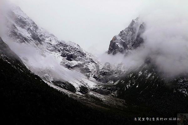 他的身体雪白雪白的，有着长长的耳朵，尾巴小小的，他特别喜欢吃红萝卜这句话用英语怎么说？