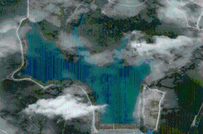 春雨直播app