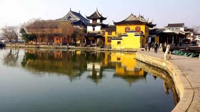 一对的鹦鹉雏鸟是养在一起还是分开养?-用冷知识改变你的视角